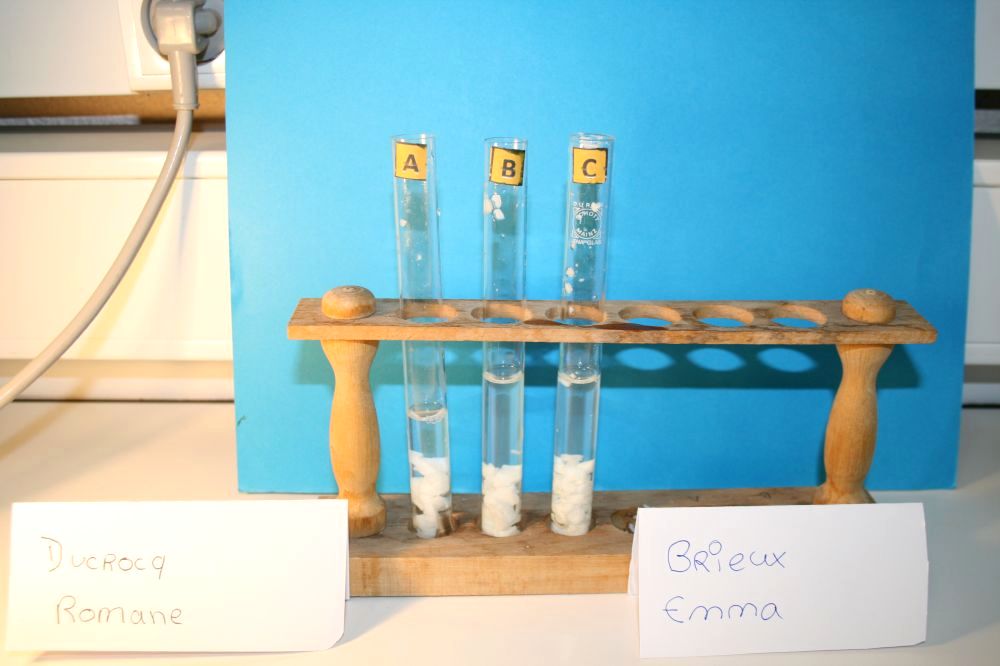 gal/LES_CINQUIEMES/ACTIVITE DIGESTION IN VITRO/Groupe_02/Groupe02_T_00h00min/Groupe02_temps__H__min_6.jpg